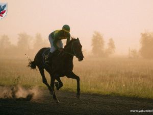 В местности Ус Хатын проводят ремонтно-восстановительные работы ипподрома