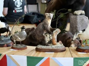 В Якутске открылась выставка трофеев «Охота и охотничьи традиции»