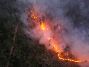 Якутянин предстанет перед судом за крупный лесной пожар