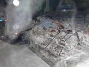 Двоюродные братья незаконно убили 15 оленей