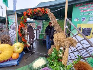 Более 80 сельхозпроизводителей Якутии представлены на ярмарке «Продовольствие-2024»