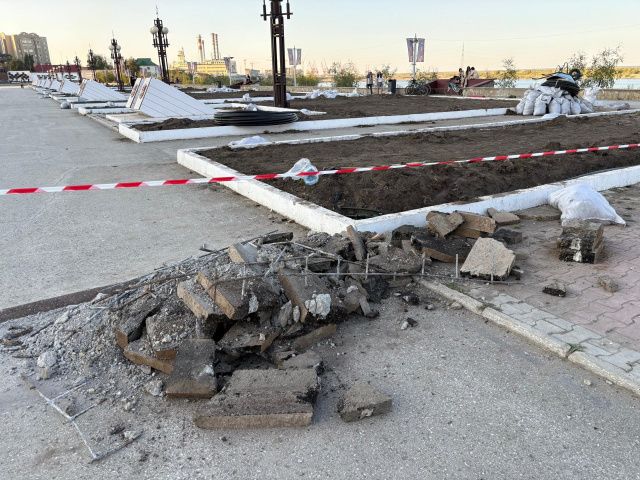 На площади Победы планируется высадка 33 елей