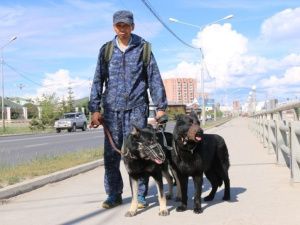 Полицейский и его четвероногий напарник:  Разговор с кинологом