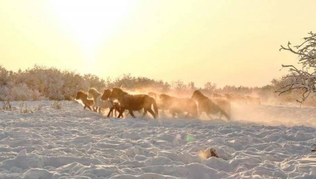 Прогноз погоды в Якутске на четверг, 28 января