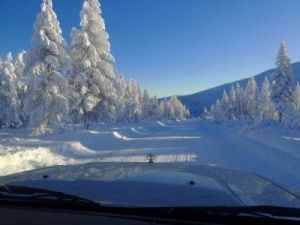 Новые приключения итальянцев в Якутии