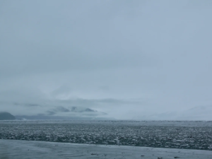 Бывший вице-губернатор Аляски объяснил выбор Трампом места встречи с Путиным