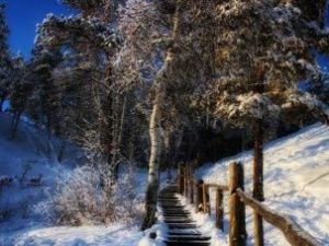 До минус 42 градусов ожидается в Якутске в ночь на четверг