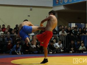 Около 80 бойцов выступят на турнире по хапсагаю с ударной техникой в Якутске