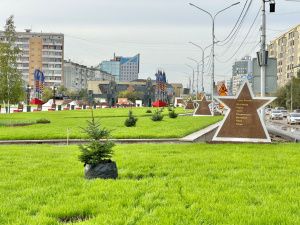 Голубые ели высадили на площади Победы в Якутске