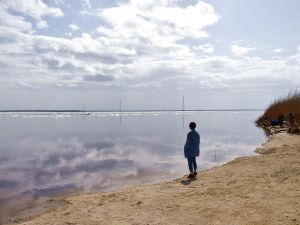 Владимир Федоров поручил усилить системную работу по санитарной очистке территорий