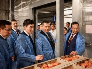 Айсен Николаев и Юрий Трутнев посетили круглогодичный тепличный комплекс «Саюри»