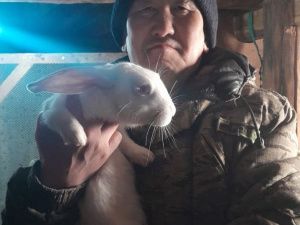 Участник СВО в Якутии развивает личное подсобное хозяйство