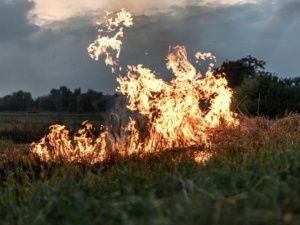 Спутники и авиапатрули обнаружили два лесных пожара в Ленском районе Якутии