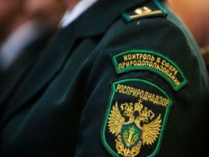 В мини-зоопарках в Якутии выявили нарушения