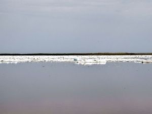 Владимир Федоров поручил усилить системную работу по санитарной очистке территорий