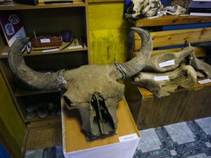 Айсен Николаев поблагодарил коллектив библиотеки-музея ямщицкой культуры в Хангаласском районе