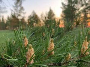 Природа решила дать передышку от жары