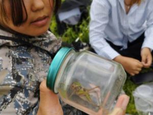 Более 68 000 детей прошли уроки экологического просвещения в Якутии