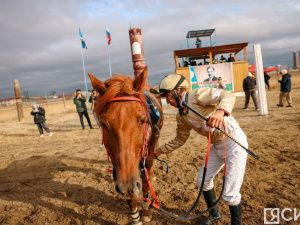 В Якутии состоялись конные скачки с общим призовым фондом 5,3 млн рублей