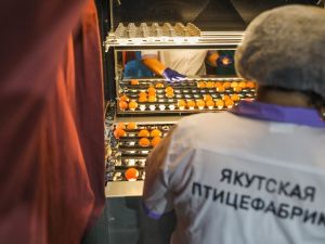 Сардана Авксентьева посетила предприятия пищевой промышленности Якутска