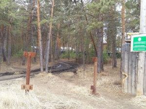 «Война» за лес, строительство многоэтажки и заболачивание территории: Александр Саввинов провел совещание по проблемам «Мерзлотки»