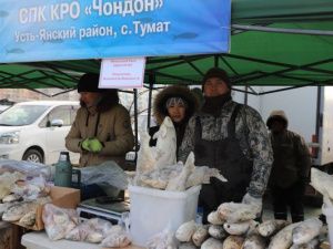 «Рыба Якутии»: более 80 тонн реализовано за два дня на ярмарке