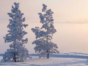 В четырех населенных пунктах Якутии зарегистрирована температура воздуха в минус 52 градуса