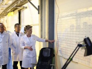 Газовую электростанцию запустили в тепличном комплексе «Саюри»