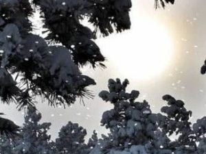 Прогноз погоды в Якутске на пятницу, 12 февраля