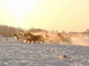 Прогноз погоды в Якутске на четверг, 28 января