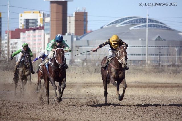 Лучшие скакуны выступят на закрытии сезона конных скачек в Якутске