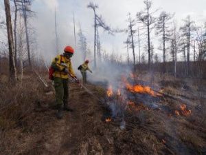 Гроза стала причиной пожара в Ленском улусе