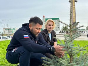 Голубые ели высадили на площади Победы в Якутске