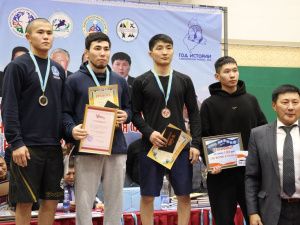 Борцы Тимур Николаев и Никита Софронов завоевали титулы абсолютных чемпионов турнира Ноговицыных