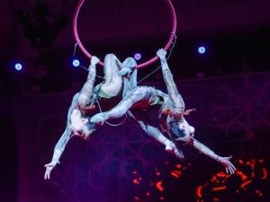 10 лучших школьников по итогам 2024 года наградили на Елке главы Якутии