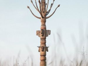 Пространство, глубина и мощь: как видят мир архитекторы