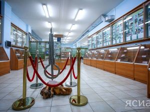 Фото: Такие разные хомусы